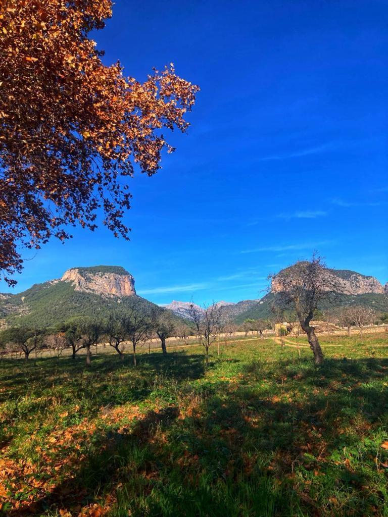 Villa Son Ribes Alaró Esterno foto